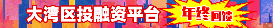 大灣區(qū)投融資平臺